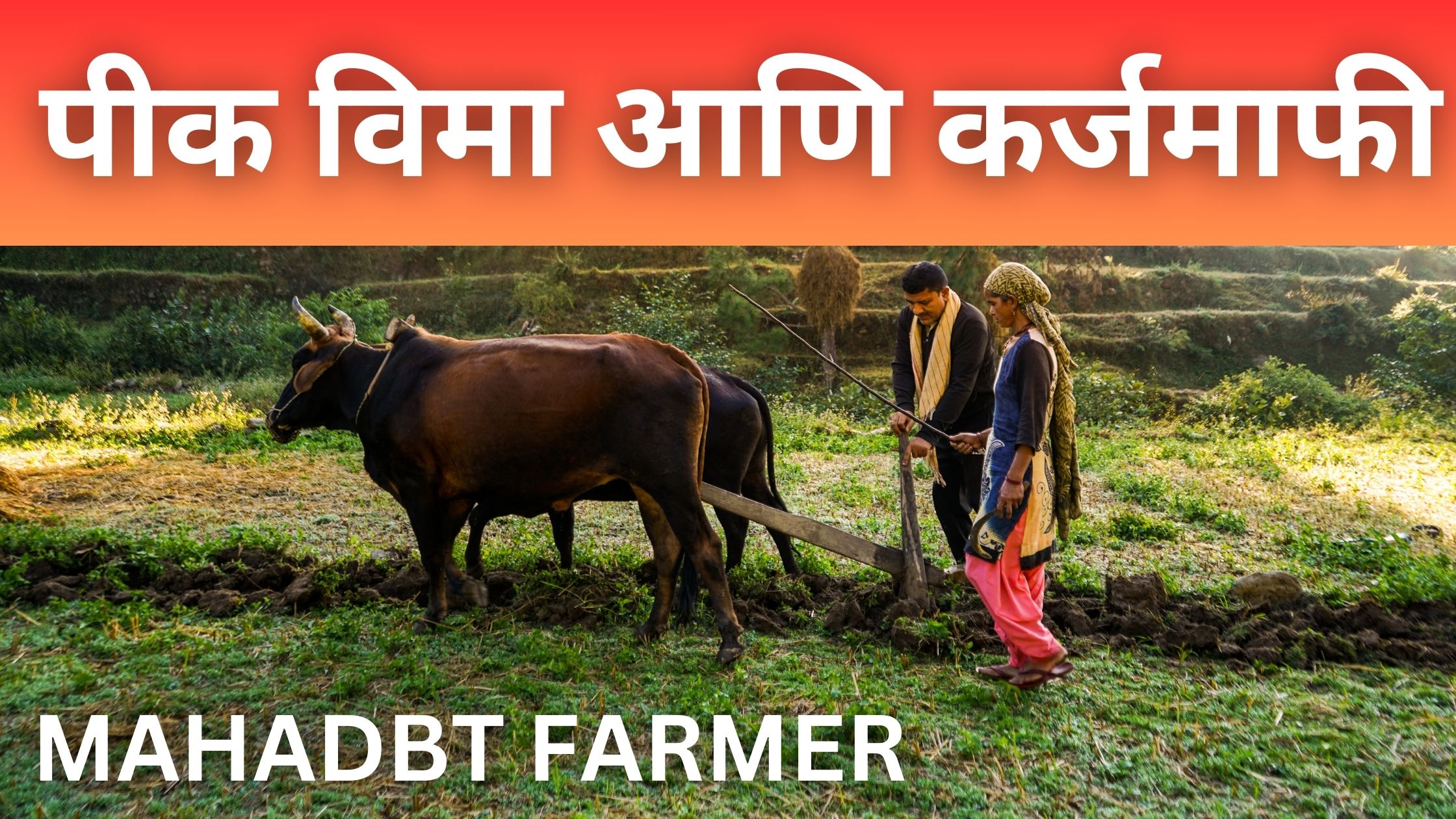 Mahadbt Farmer Mahiti Maharashtra 2025