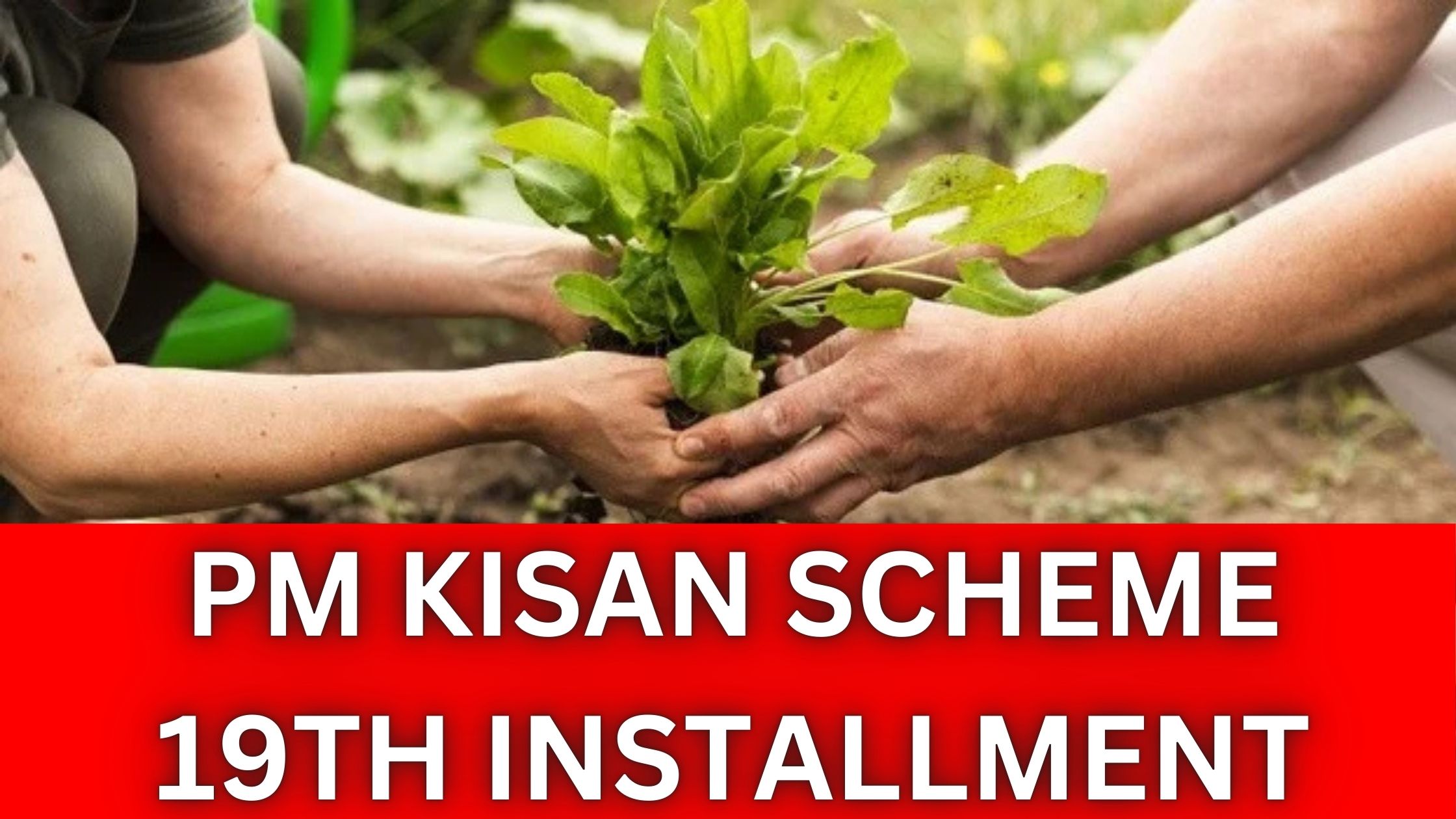 PM Kisan Scheme 19th Installment