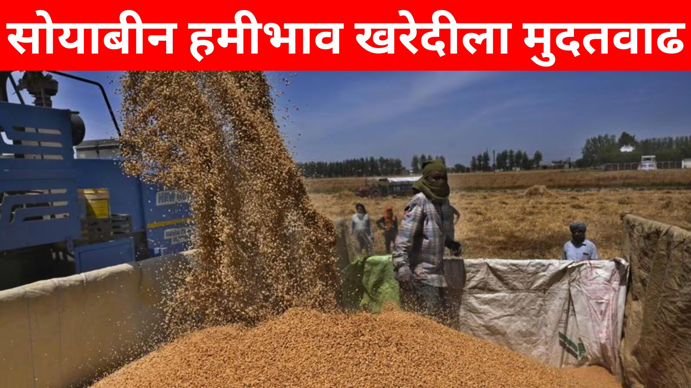 Soybean MSP Procurement Marathi